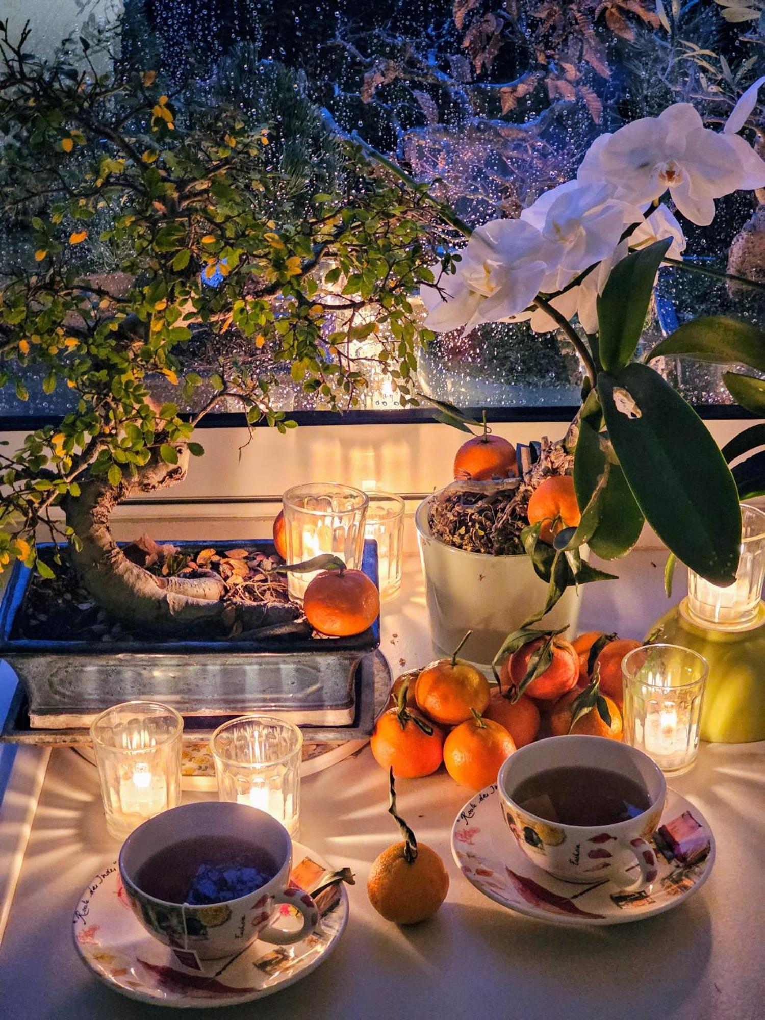Apartmán Terrasse De Malissol Vienne  Exteriér fotografie
